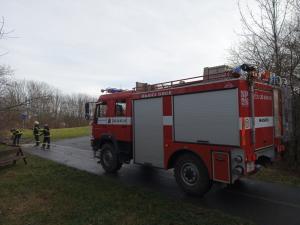 VÝVRATY stromů a BEZPEČNOST chodců
